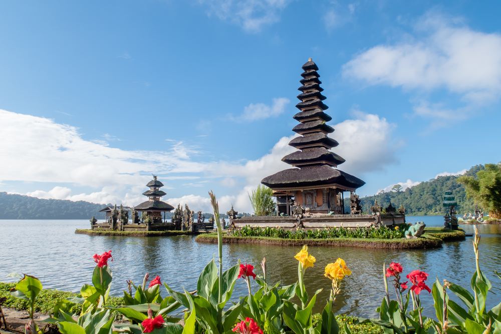 Surfing, regnskov eller dykning? Her skal du bo på Bali